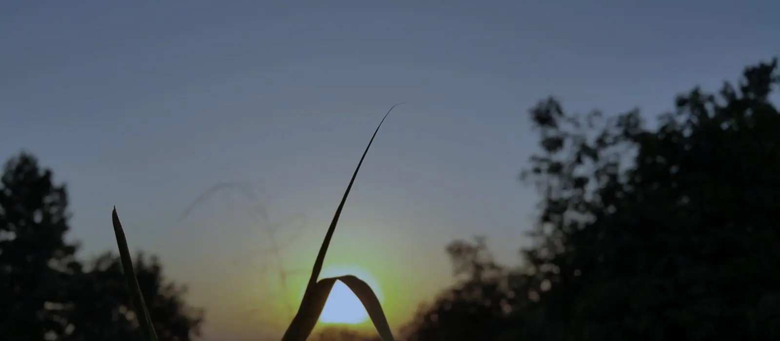 Ingeniero preparando un dron al atardecer junto a una planta industrial